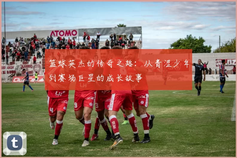 篮球英杰的传奇之路：从青涩少年到赛场巨星的成长故事